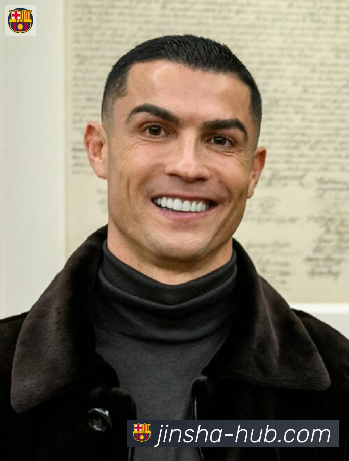 维尼修斯
